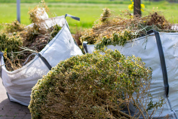 Best Demolition Debris Removal  in Corydon, IN